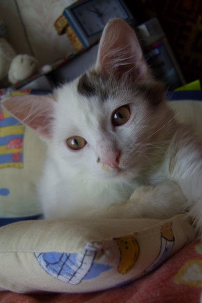 Наталия Красовская