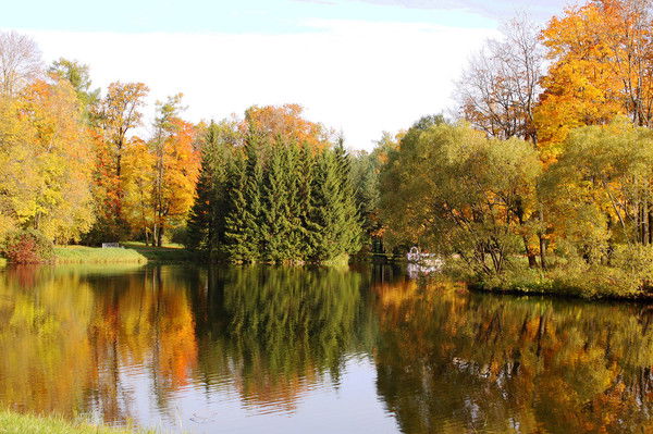 Егор Патлань