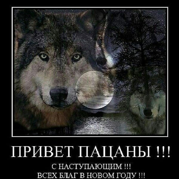 Андрей Белик