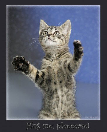 Любовь Чередниченко