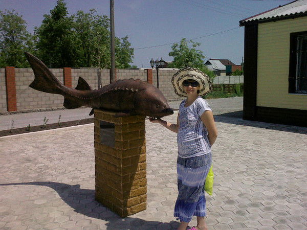 Светлана Смешко (Евтеева)