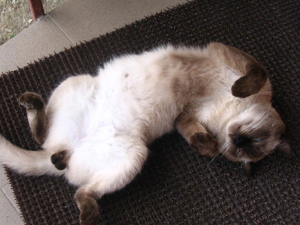 Валерий Фурлетов