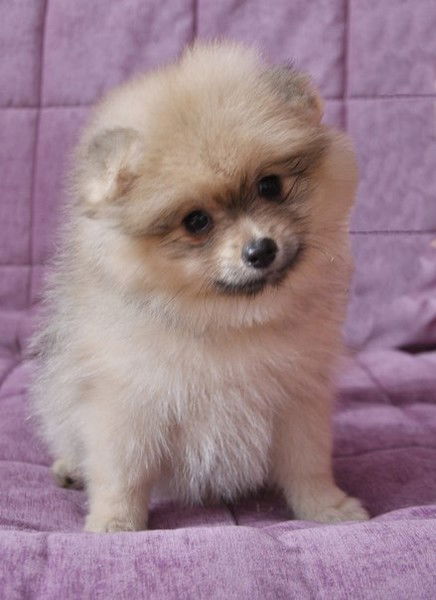 Екатерина Акулова