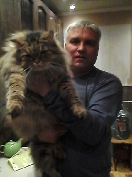 Сергей Фадеев