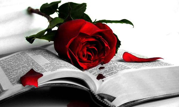 Рамзия Ситдикова