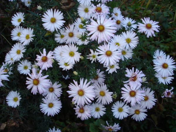 Татьяна Клещицкая