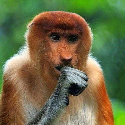 Михаил Килимник