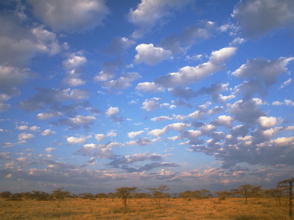 Юлия И Всеволод Курмышовы