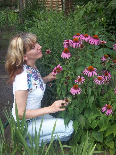 Елена Зарецкая