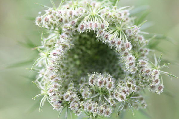 Виктория Виктория