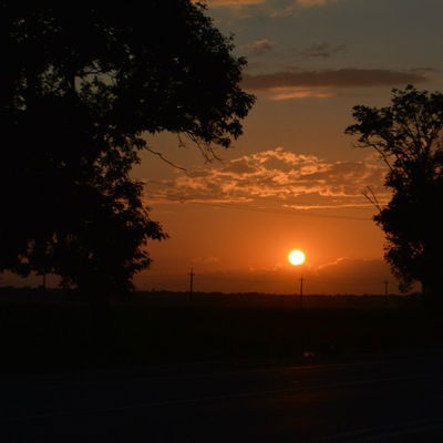 Влад Жинкин