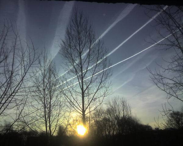 Ефимов Александр