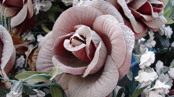 Лия Гаглоева