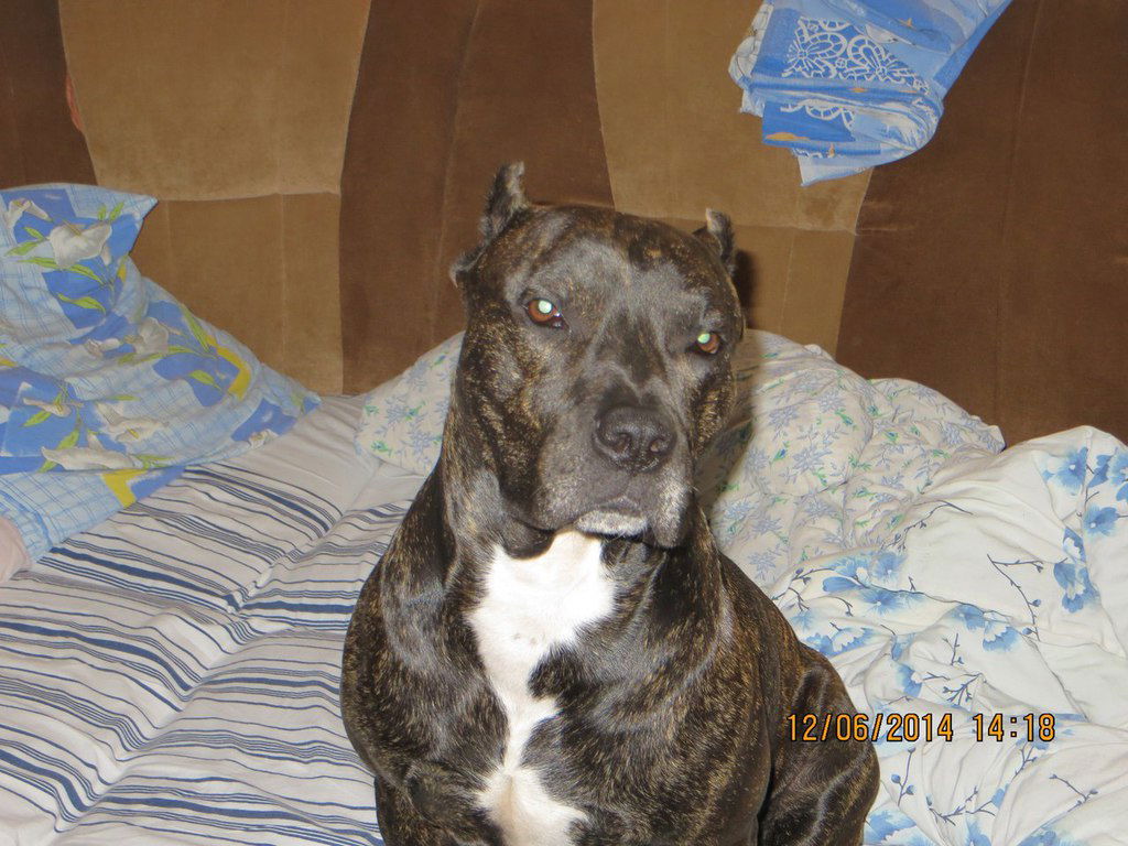 Артур Скидан