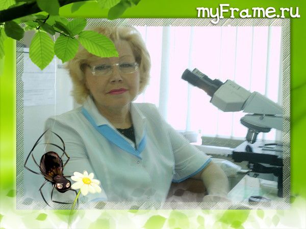 Галина Шишлина