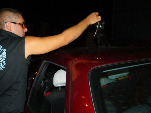 Михаил Штоль