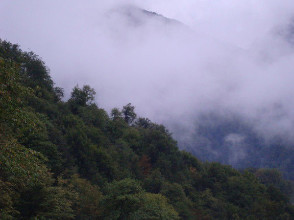 Анна Подвиженко