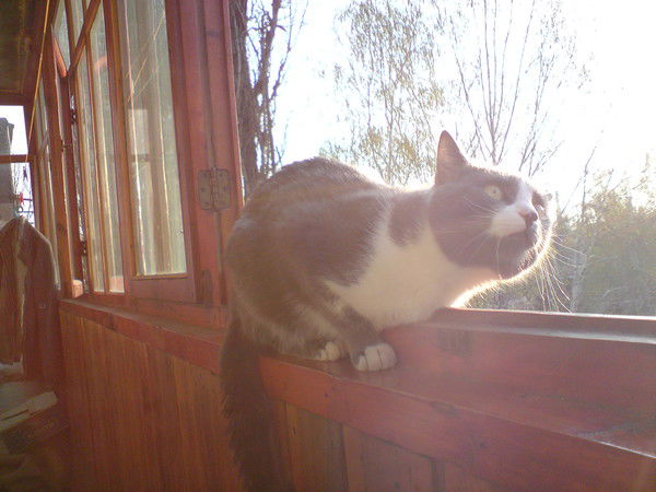 Оксана Козлова