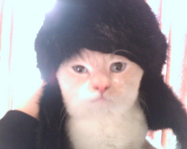 Марина Балова