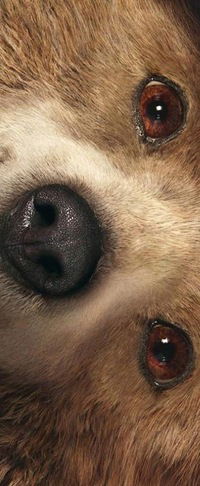 Дима Северов