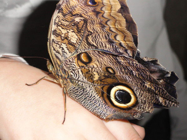 Светлана Постовалова