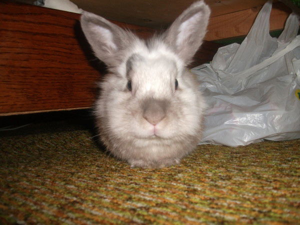 Наталья Сахно