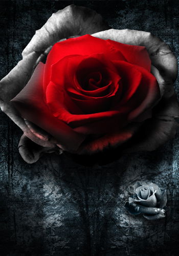 Евгения Левандовская