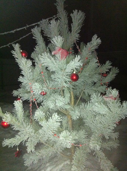 Марина Пчелякова