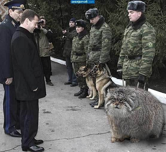 Виталий Бондарев