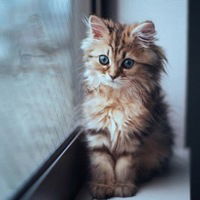 Алёна Варнакова