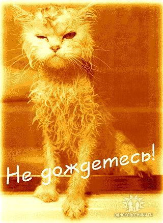 Дмитрий Дмитрий