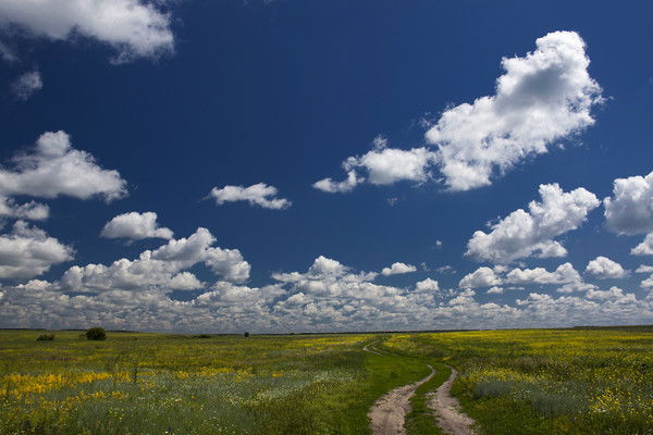 Наташа Ряжских