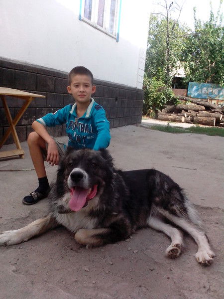 Мадияр Мамеев