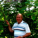 Олег Ковалевич