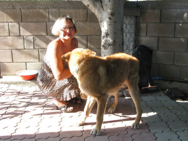 Екатерина Калинюк