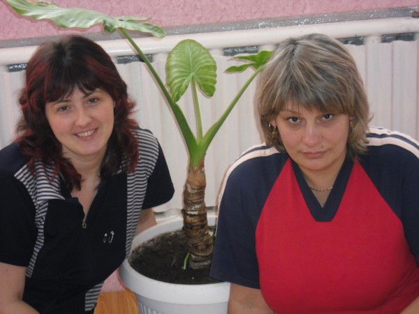 Светлана Ясинская