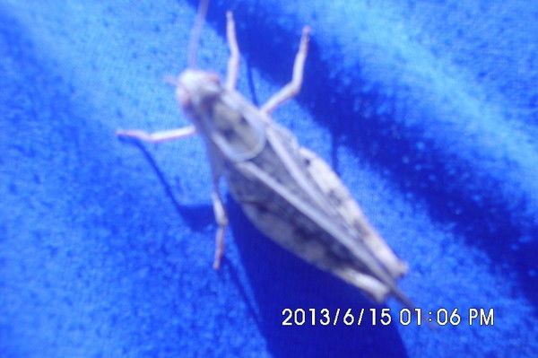 Илийский Районный Филиал