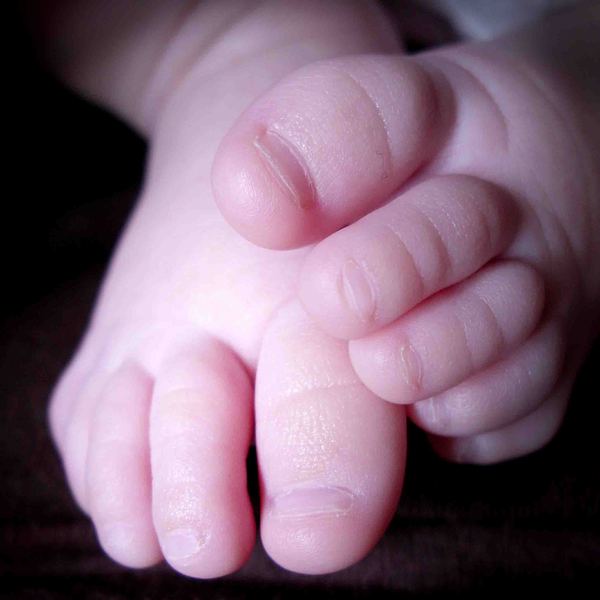 Елена Рожкова