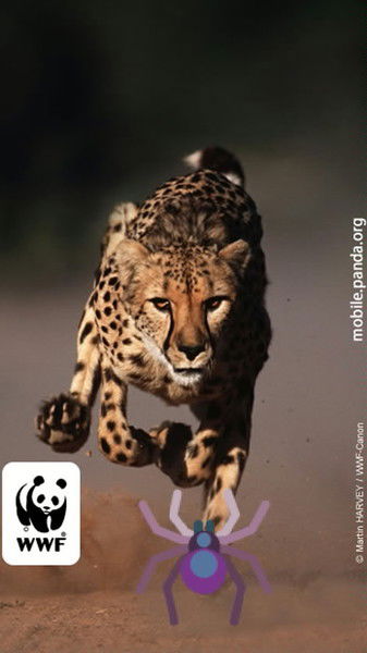 Владимир Слепцов