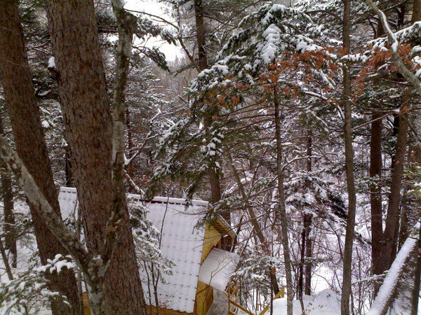 Роман Жестков