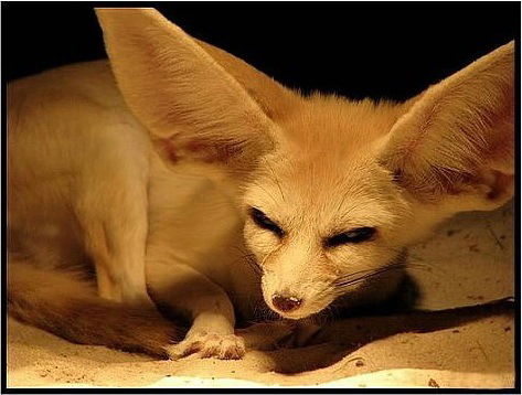 Апвып Ывпывп