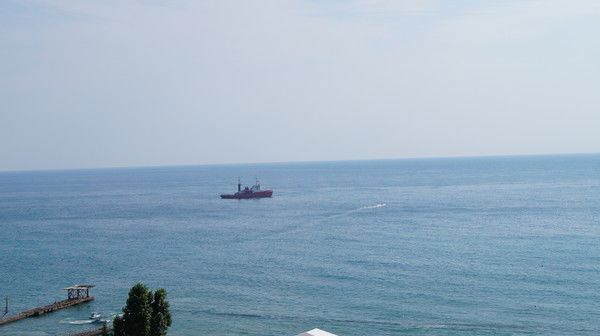 Станислав Честных