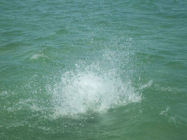 Катюшка Румянцева