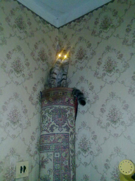 Александр Кулаков