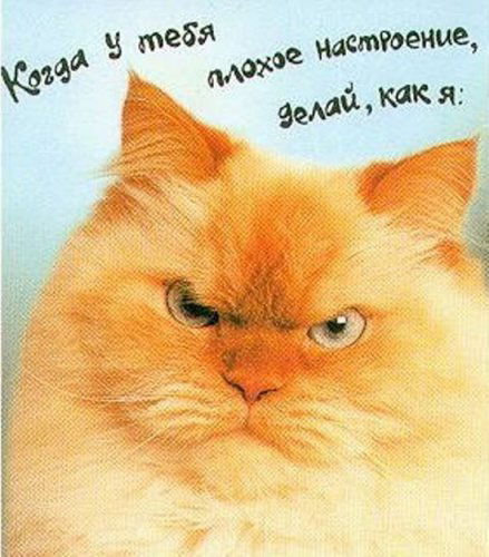 Виталик Марышев