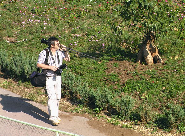 Яков Цырлинсон