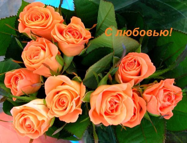 Анастасия Шульгина