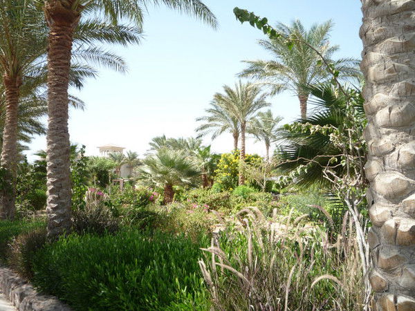 Топ-Строй Топ-Строй