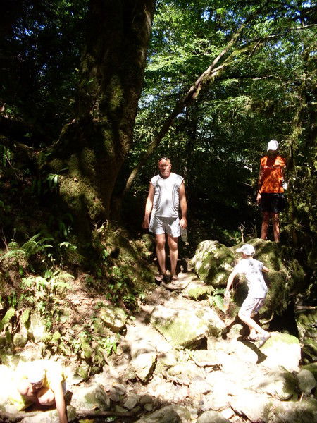 Николай Смагин