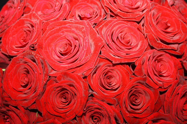 Юлия Г. Москаленко